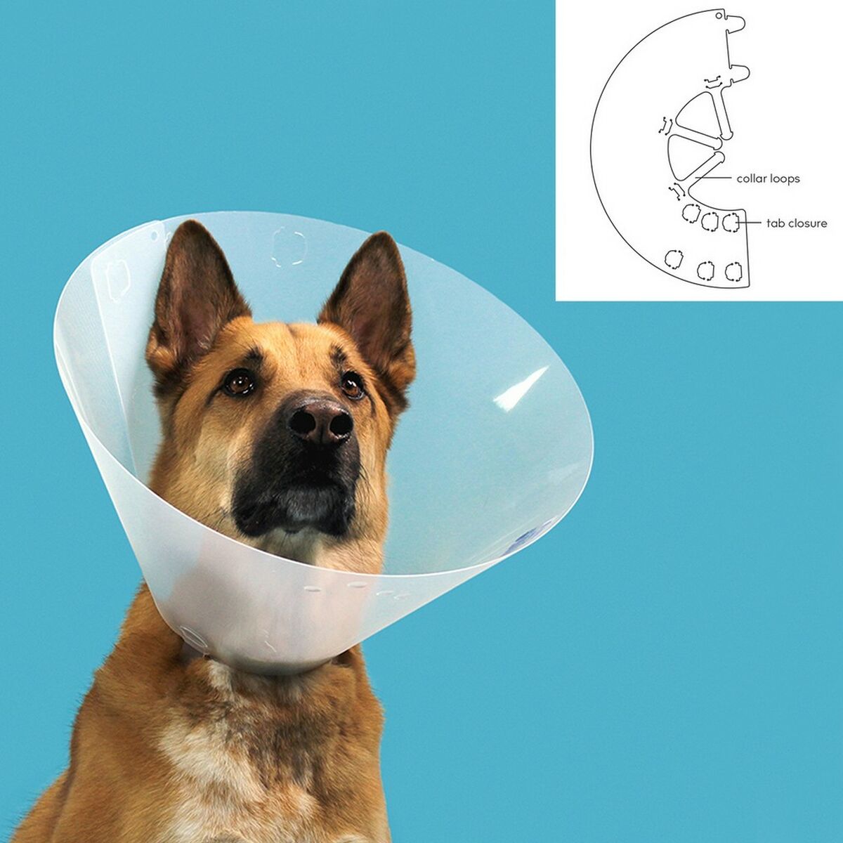 Colar Isabelino para Cães KVP Quick Fit Transparente (45-56 cm)